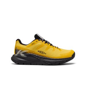 Men's Targhee Apex Waterproof Hiking Shoe | Symphonic Sunset/Black
